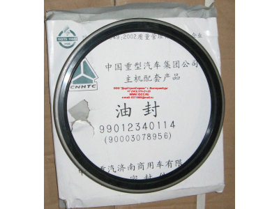 Сальник 190х220х15 задней ступицы наружный H/SH HOWO (ХОВО) WG9112340114 фото 1 Кемерово